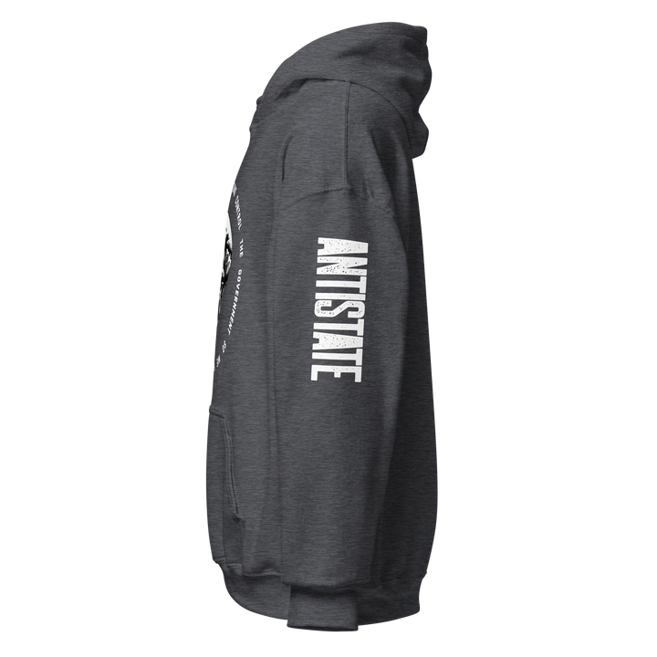 Corporations Control the Government v1 hoodie