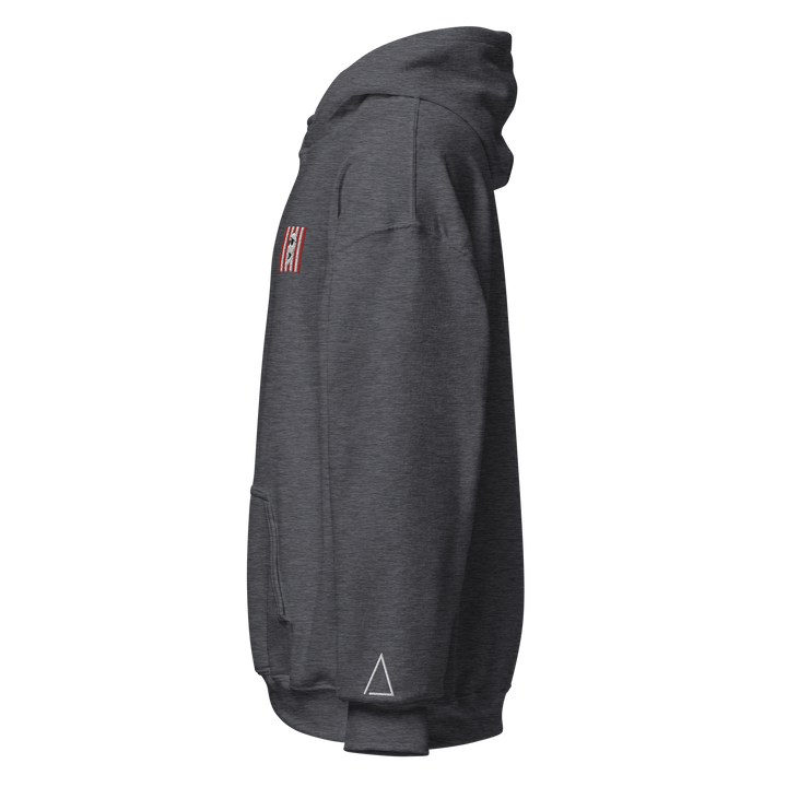 Sons of Liberty v1 hoodie