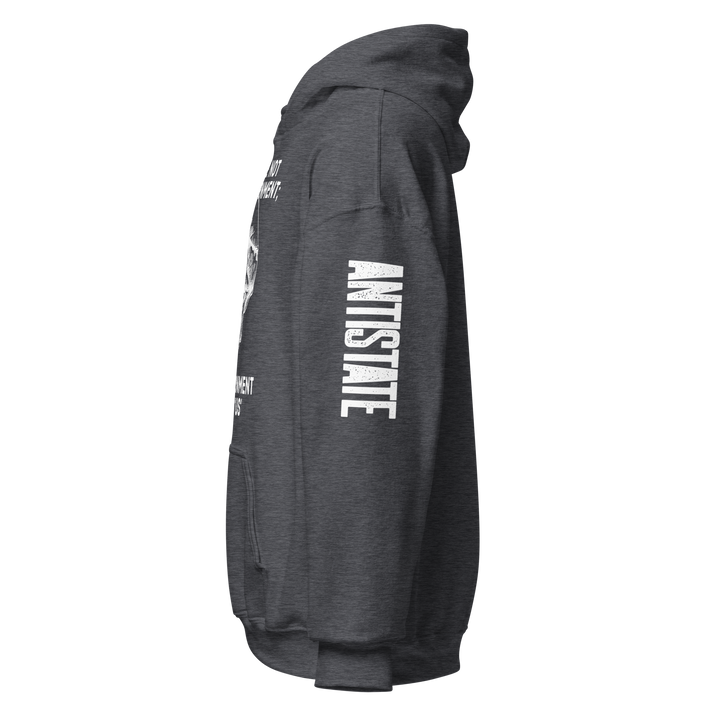 Gov't Is Not Us v1 hoodie