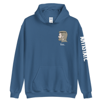TED v2 hoodie