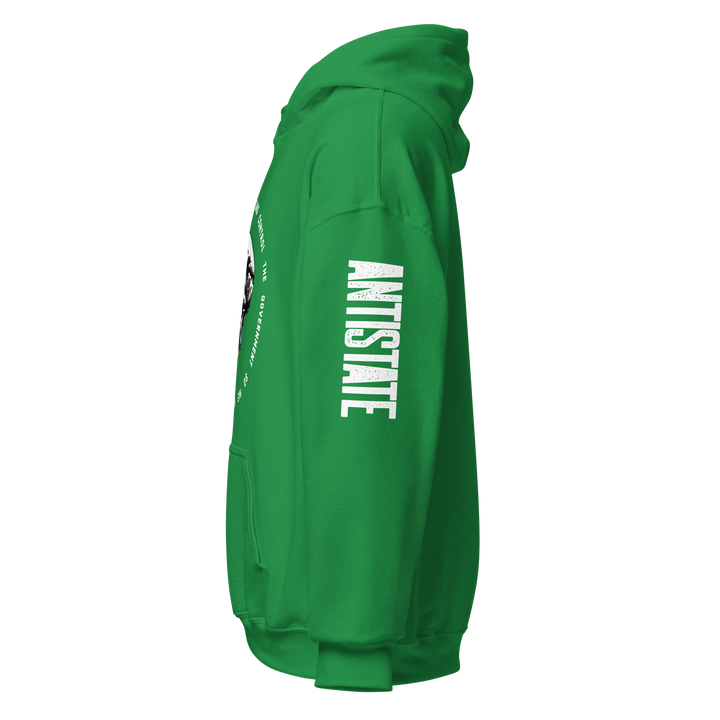 Corporations Control the Government v1 hoodie