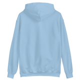 ̶s̶t̶a̶t̶e̶ v1 ebroidered hoodie