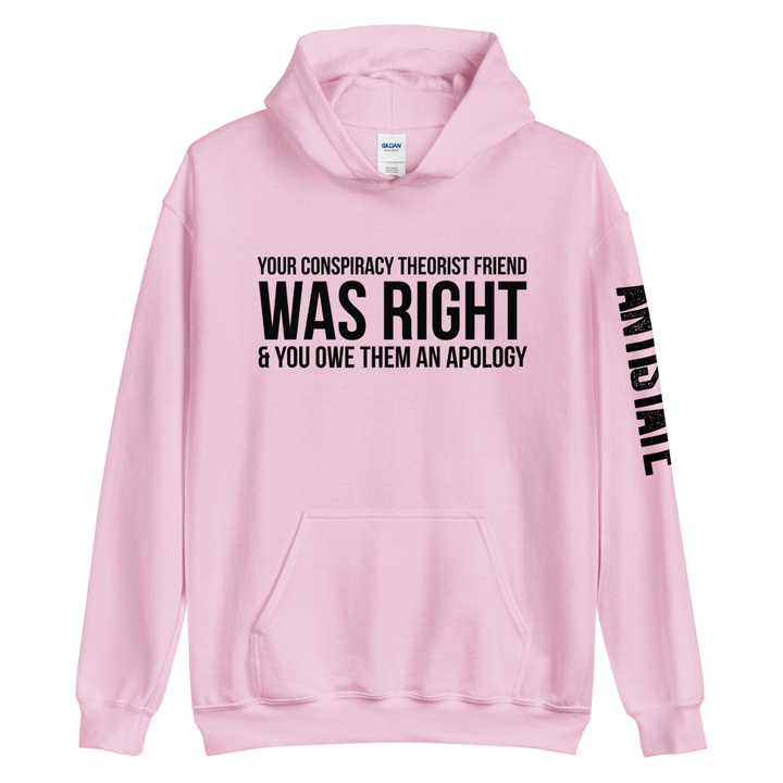 Conspiracy Theorist Friend v1 hoodie