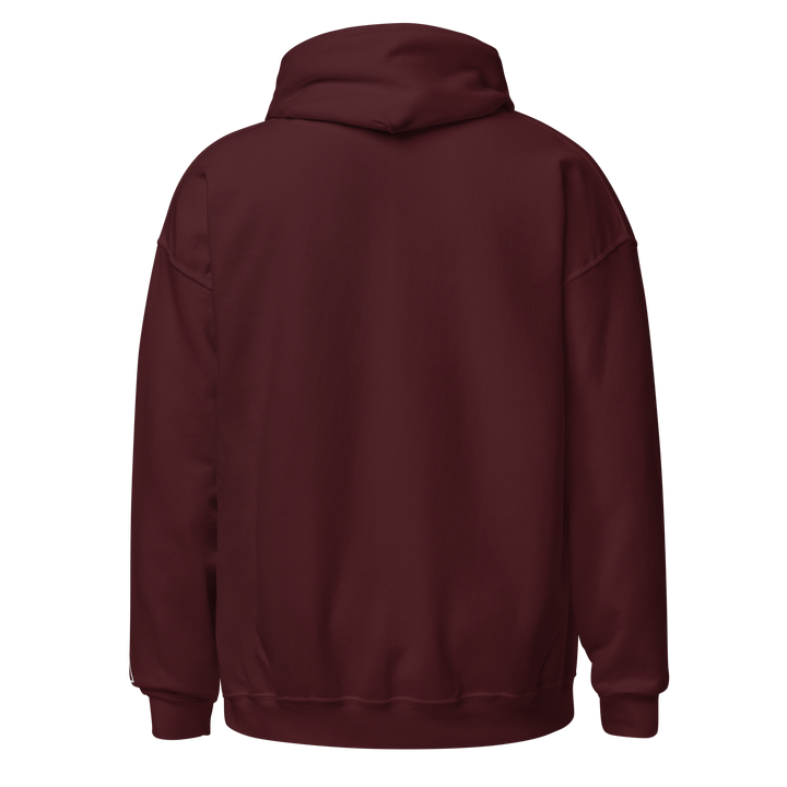 Sons of Liberty v1 hoodie
