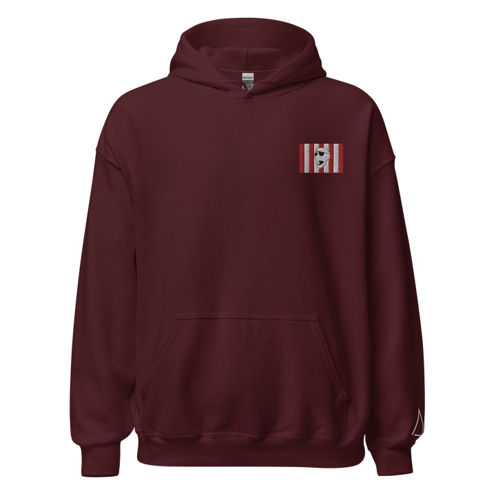 Sons of Liberty v1 hoodie