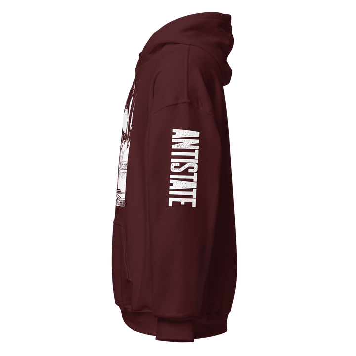End the Fed v1 hoodie