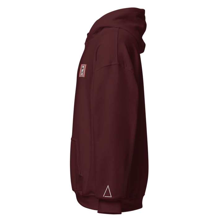 Sons of Liberty v1 hoodie