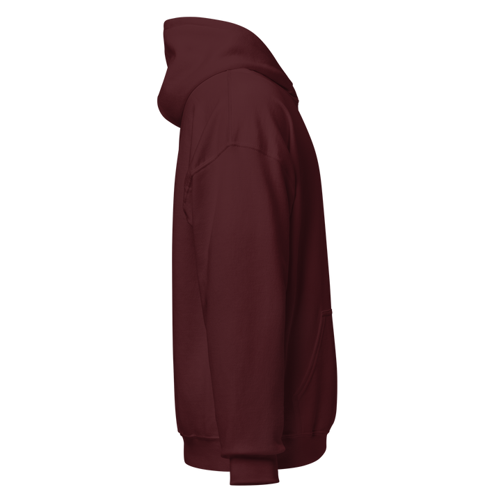 Sons of Liberty v1 hoodie