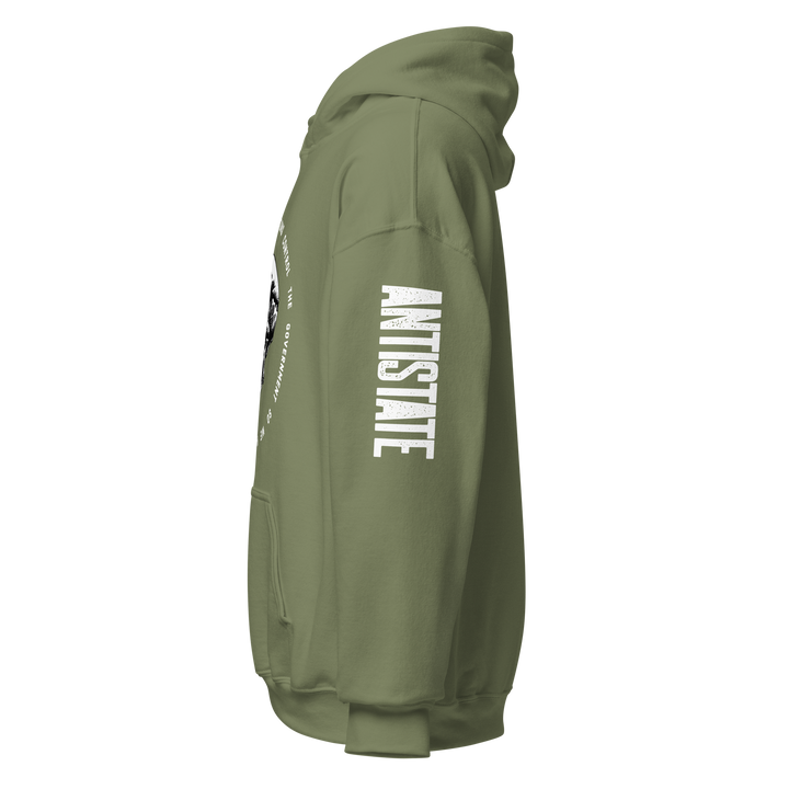 Corporations Control the Government v1 hoodie