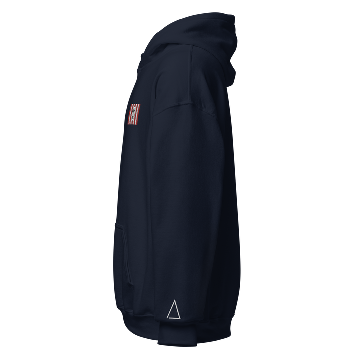 Sons of Liberty v1 hoodie