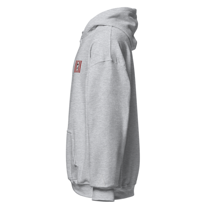 Sons of Liberty v1 hoodie