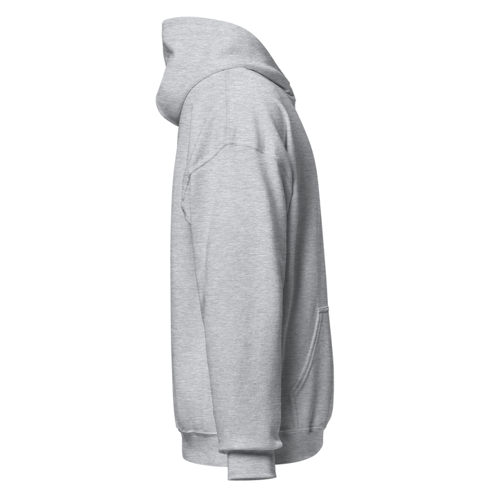 Sons of Liberty v1 hoodie