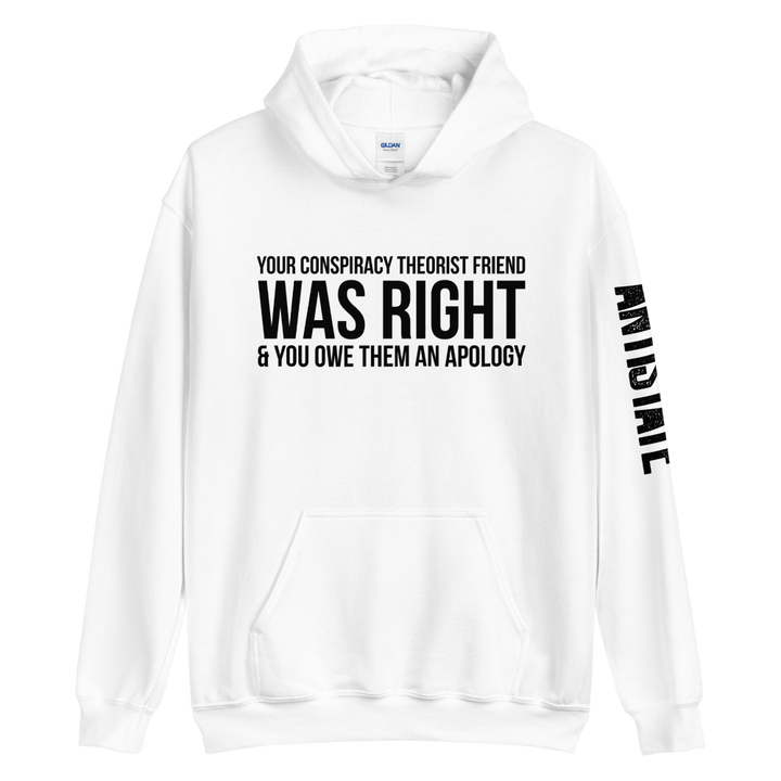 Conspiracy Theorist Friend v1 hoodie